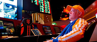 Онлайн казино Casino Calibry